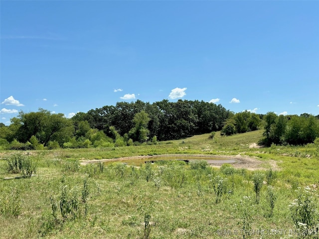 view of nature featuring a rural view