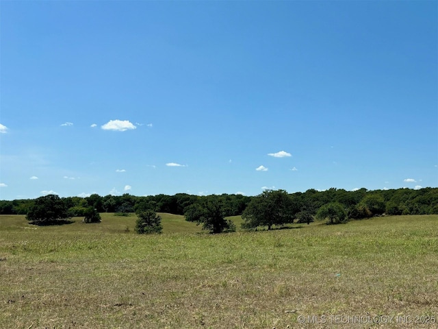 view of landscape featuring a rural view