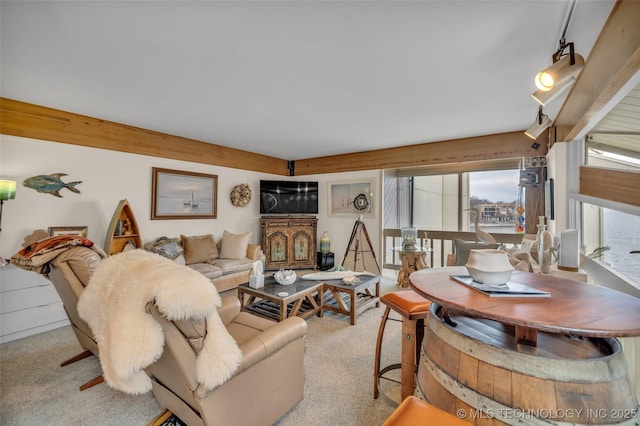 29898 S 566th Rd Unit 411, Afton, OK 74331 - living area with carpet floors