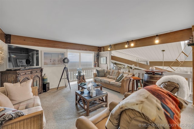 29898 S 566th Rd Unit 411, Afton, OK 74331 - carpeted living area featuring track lighting