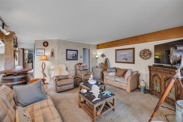 29898 S 566th Rd Unit 411, Afton, OK 74331 - view of carpeted living room