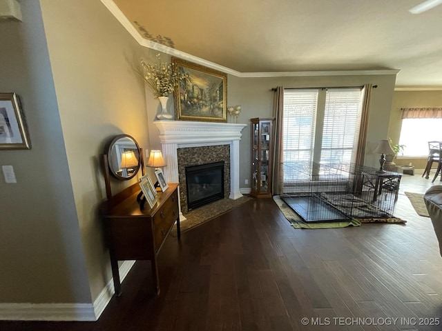 living area featuring dark wood-style floors, crown molding, a fireplace, and baseboards