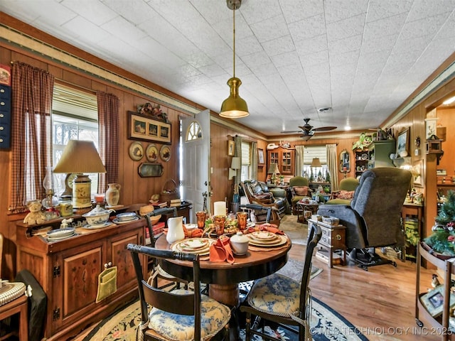 dining room with light wood-type flooring, wood walls, ceiling fan, and crown molding