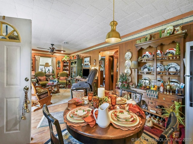 dining space featuring light wood-style floors, ceiling fan, wooden walls, and crown molding