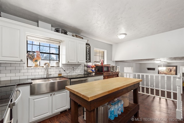 kitchen featuring tasteful backsplash, plenty of natural light, a sink, and wooden counters