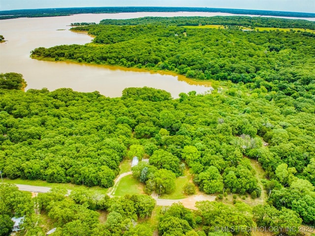 birds eye view of property featuring a water view and a view of trees