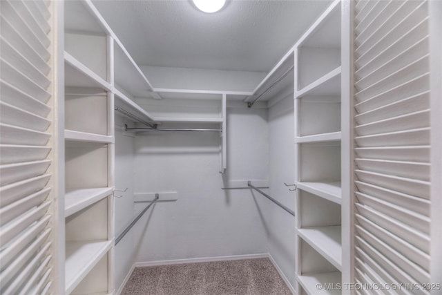 spacious closet with carpet