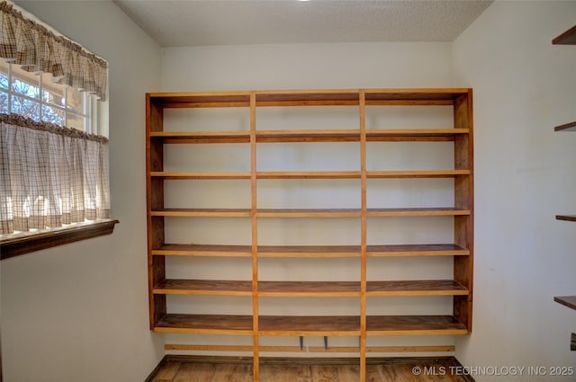 walk in closet featuring wood finished floors