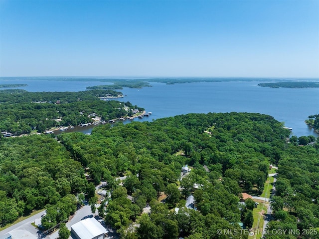 453576 Kaw Ave, Afton, OK 74331 - drone / aerial view of a forest and a nearby body of water