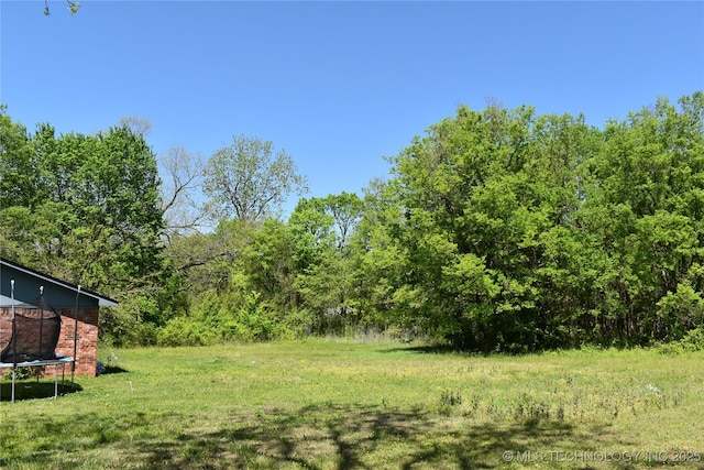 view of yard featuring a trampoline