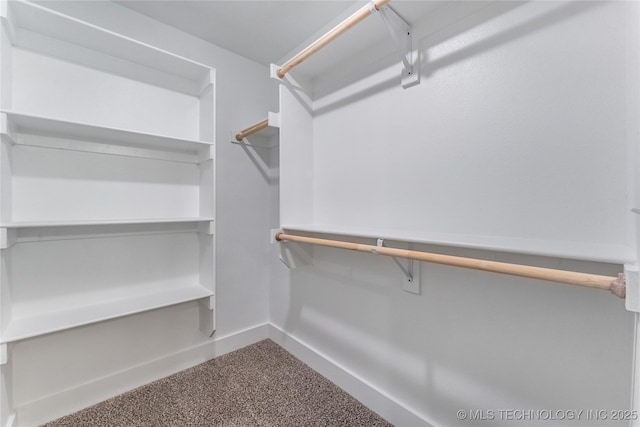 walk in closet with carpet floors