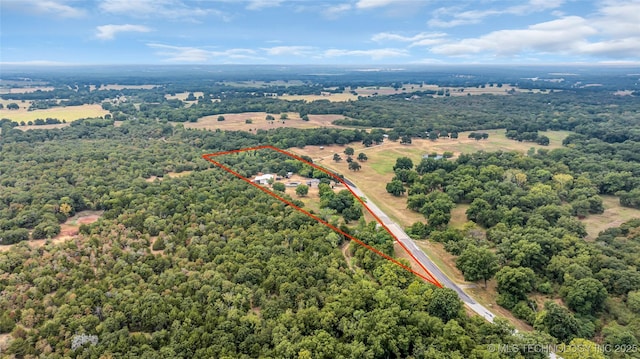 bird's eye view with a view of trees