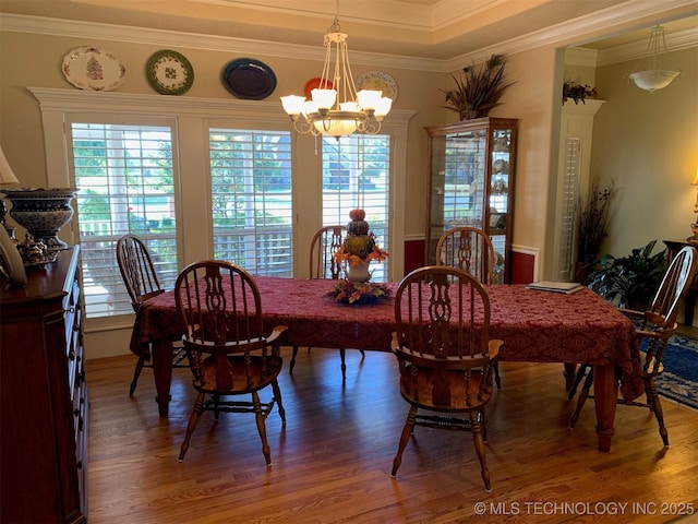 dining room featuring a chandelier, dark wood-type flooring, and crown molding