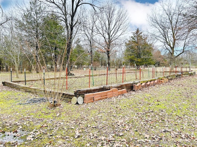 view of yard featuring a rural view and a vegetable garden