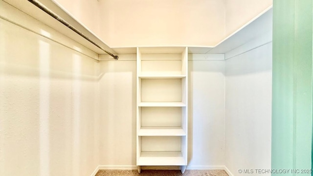 spacious closet featuring carpet floors