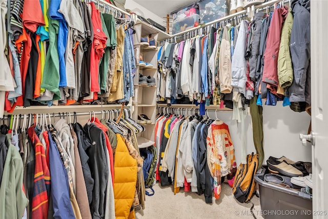 view of spacious closet