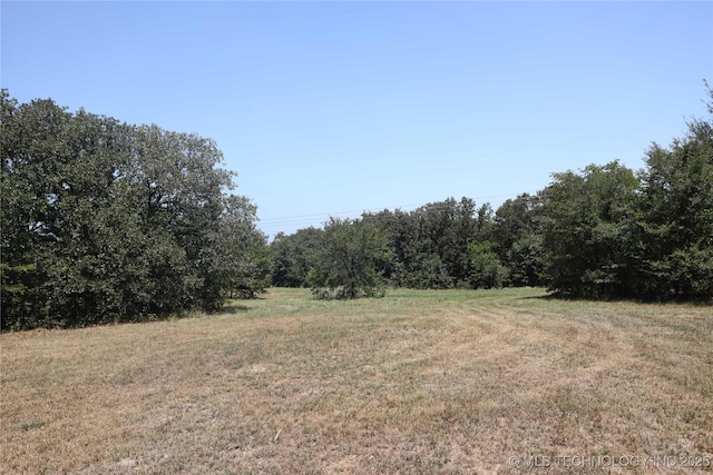 view of local wilderness