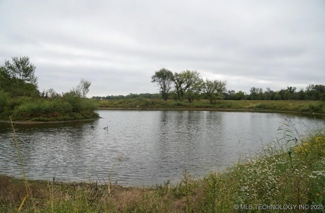 16100 Ash Rd, Morris, OK 74445 - view of water feature