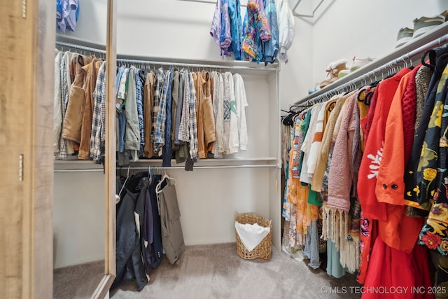 spacious closet with carpet