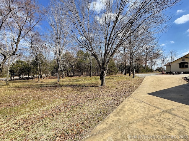 view of yard with concrete driveway