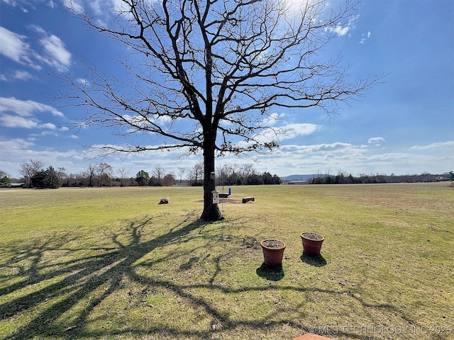 view of yard with a rural view