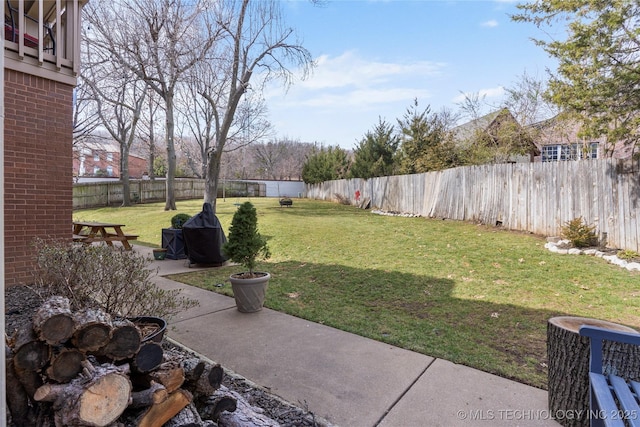 view of yard with a fenced backyard and a patio