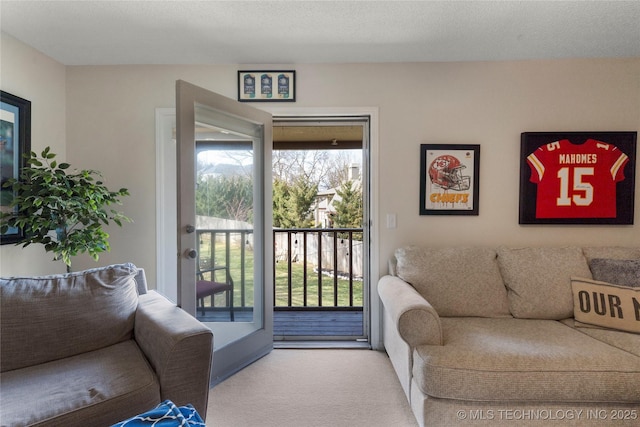 carpeted living area featuring a textured ceiling