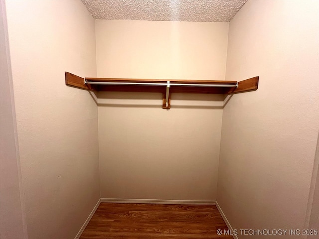 spacious closet with wood finished floors