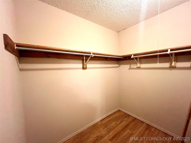 walk in closet with wood finished floors