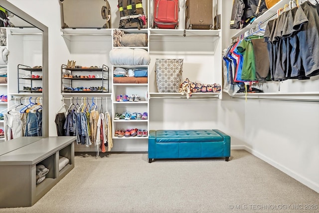 spacious closet featuring carpet floors