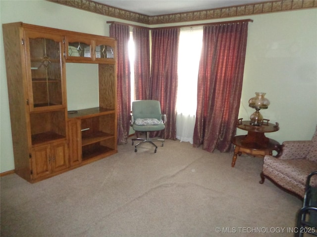 sitting room with light carpet and plenty of natural light