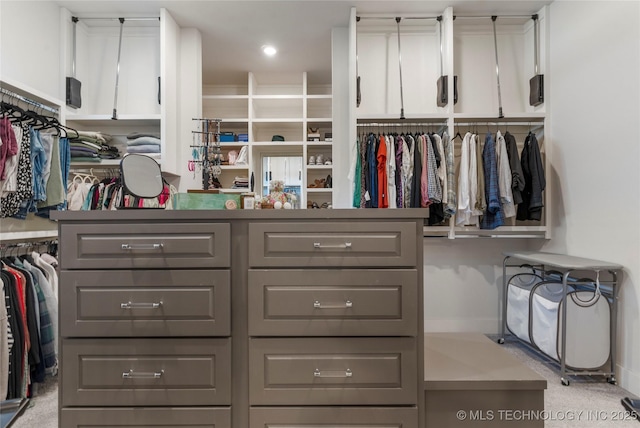 2715 E 136th St S, Bixby, OK 74008 - walk in closet with carpet floors