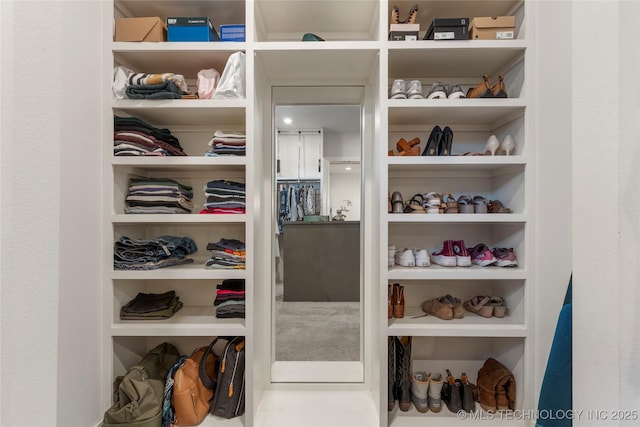 view of spacious closet