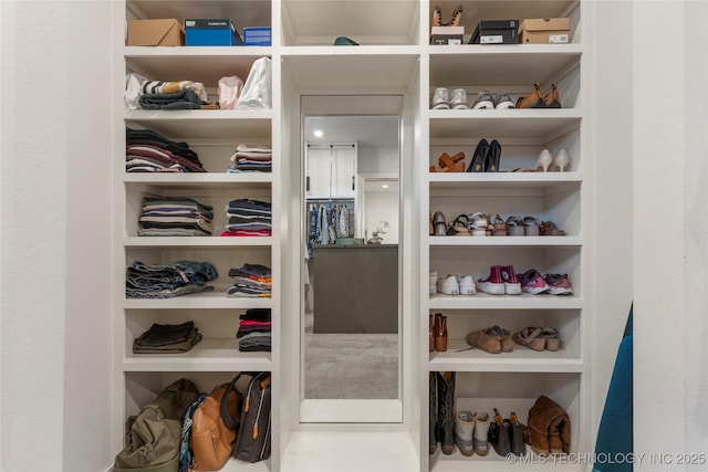 2715 E 136th St S, Bixby, OK 74008 - view of spacious closet
