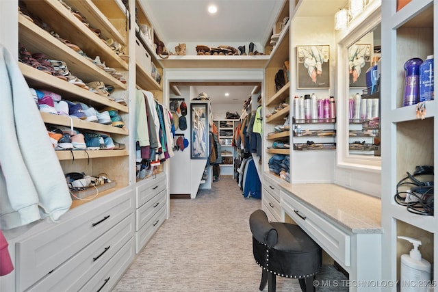 spacious closet with light carpet