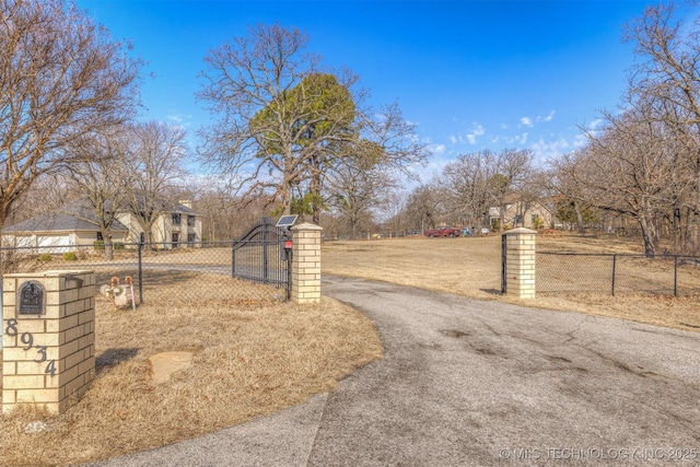 view of road with driveway, a gate, and a gated entry