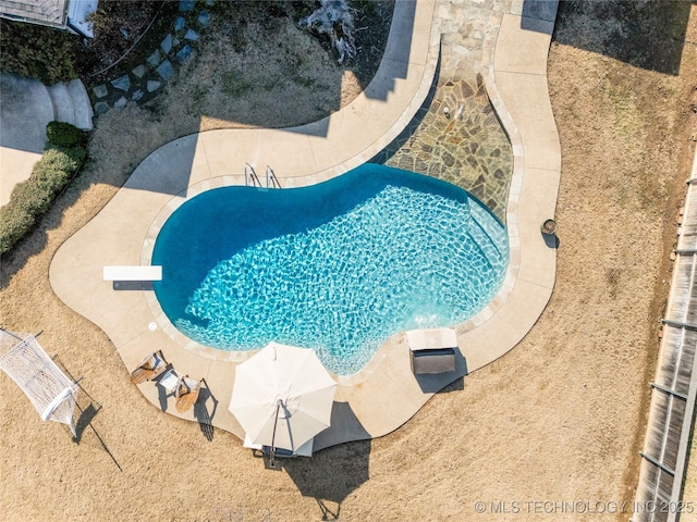 view of pool featuring a diving board