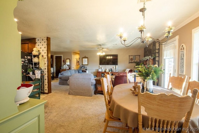 carpeted dining space featuring ceiling fan with notable chandelier and a textured ceiling