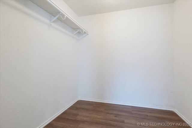 spacious closet with dark wood-style flooring