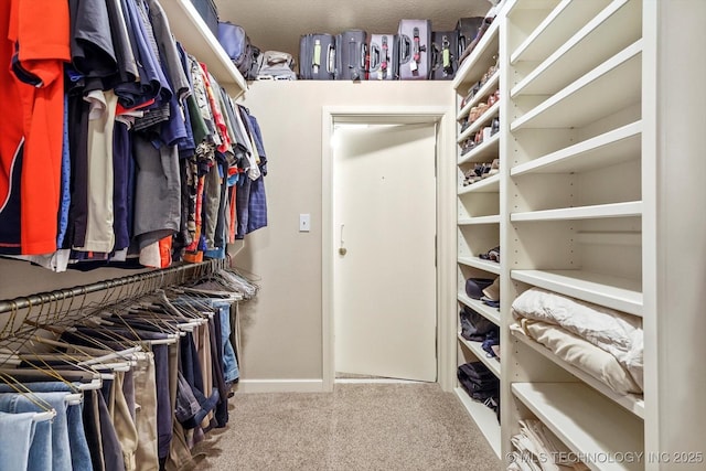 spacious closet featuring carpet floors