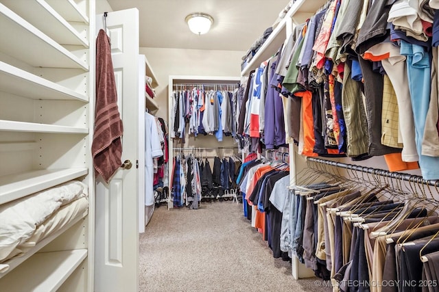 spacious closet with carpet flooring