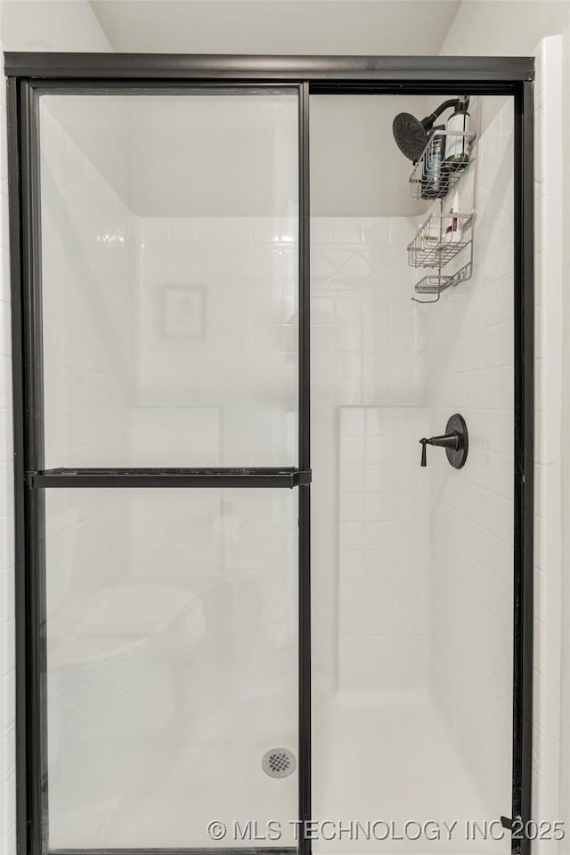 full bathroom featuring a shower stall