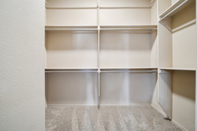 spacious closet featuring carpet flooring