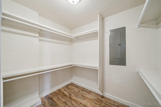 spacious closet with electric panel and wood finished floors