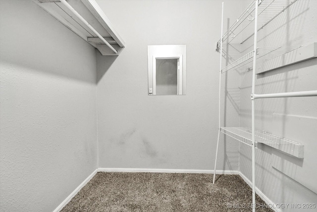 walk in closet featuring carpet floors