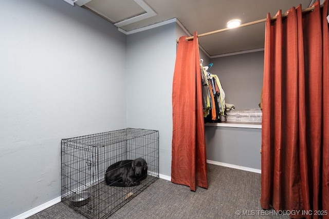 walk in closet featuring carpet floors and attic access