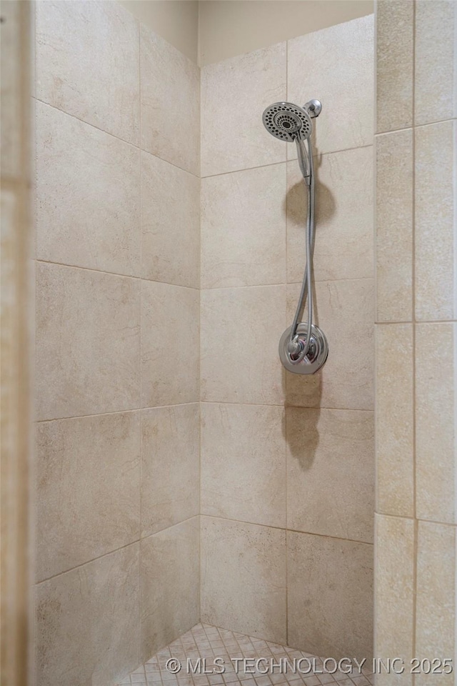 interior details featuring tiled shower