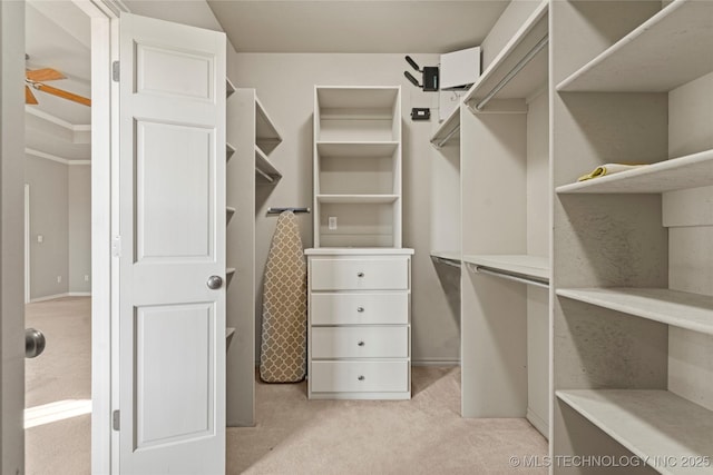 spacious closet featuring light carpet and ceiling fan