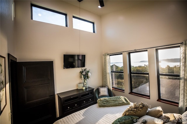 bedroom with a towering ceiling