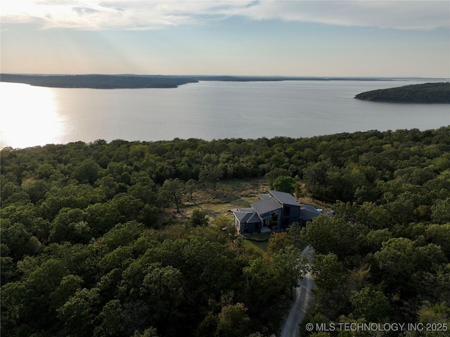 birds eye view of property featuring a water view and a wooded view